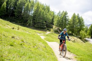 Mountainbike auf einem Trail