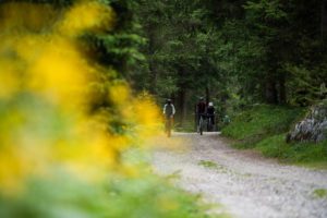 Frauen fahren mit Gravelbike auf Forststraße vor gelben Blumen